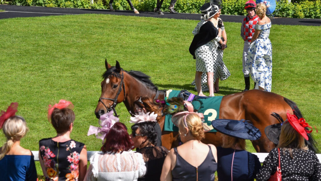 Our October performance for 2025 will be Ladies Day, written by Amanda Whittington, and to be directed by Keith Graham. It's a gorgeous comedy about four ladies from Hull fish docks who take themselves out for a day at the races.